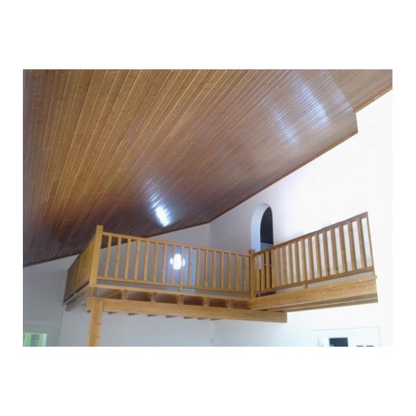 coated ceiling - pvc - interior