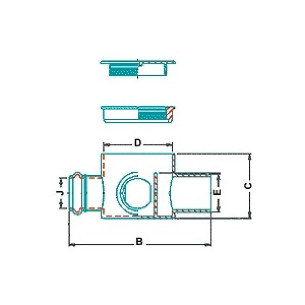 siphon - pvc pipe - domestic sewage