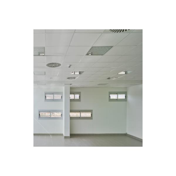 polyvinyl ceiling - white