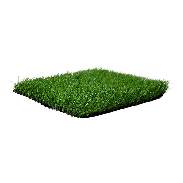 green / green grass