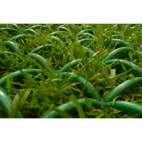 green arcograss system