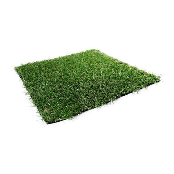  low cost grass